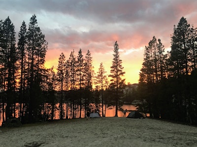 green lawn grass during daytime