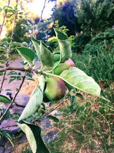 green lawn grass during daytime
