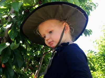 green lawn grass during daytime