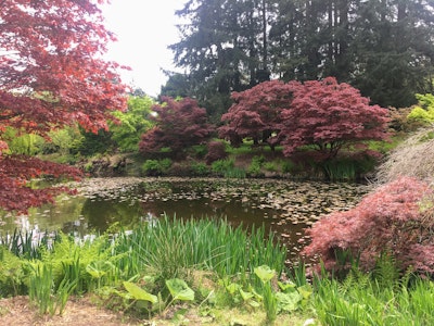 green lawn grass during daytime