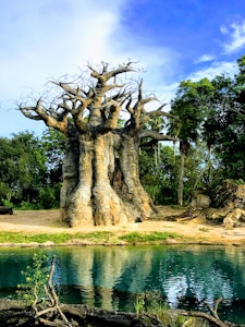 green lawn grass during daytime