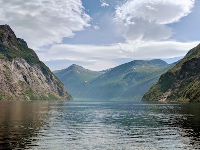 green lawn grass during daytime
