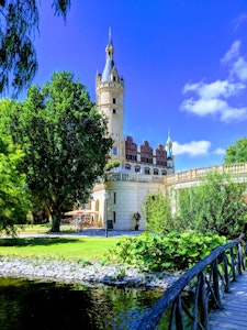 green lawn grass during daytime