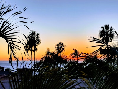 green lawn grass during daytime