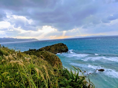 green lawn grass during daytime