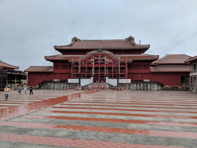green lawn grass during daytime